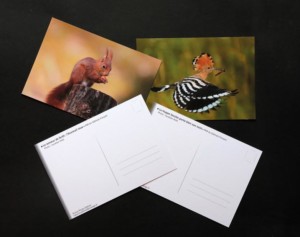 cartes-postales-web